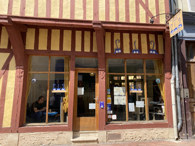 Troyes Petits Chats