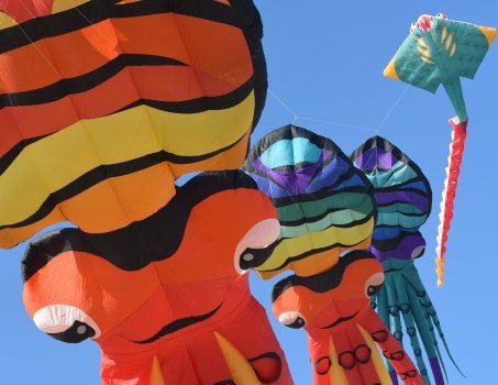 Rencontres internationales de Cerfs-Volants de Berck - ballet géant au-dessus de la plage - Festivals - Berck