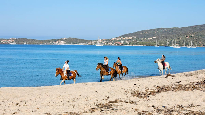 Écuries le Golfe - Scuderie U Golfu — Balade à cheval — Olmeto