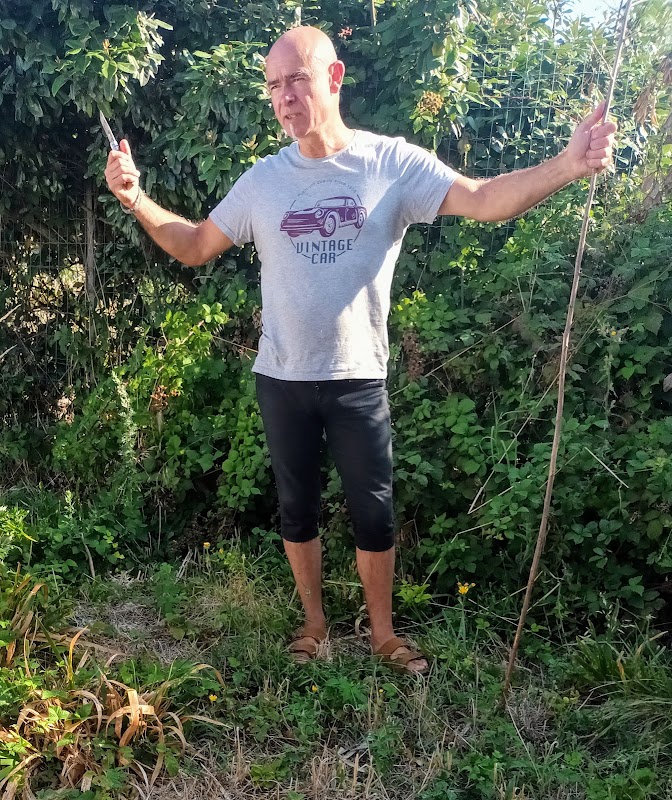 Permaculture Oléron — Cueillette sauvage & balades botaniques — Dolus-d'Oléron