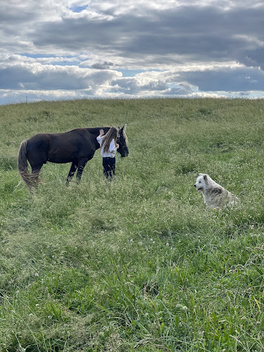 Ferme des Esprits Sauvages — Balade à cheval — Saint-Chély-d'Aubrac