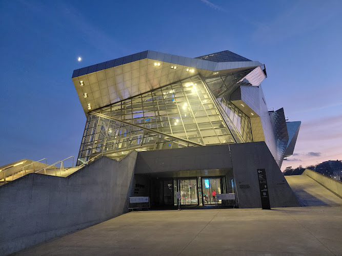 Musée des Confluences — Anniversaire enfant — Lyon