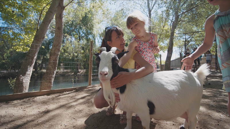 Les Petits Fermiers - Parc animalier — Anniversaire enfant — Lansargues