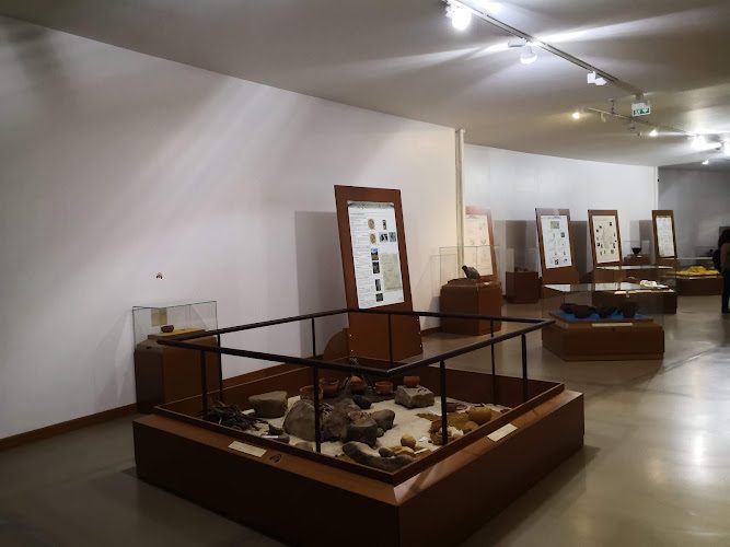 Musée de l'Alta Rocca - Museu di l'Alta Rocca — Musées Historiques — Levie