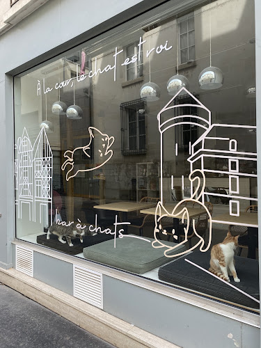 La Cour des Chats (bar à chats)