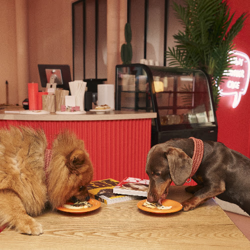 CASA DEL DOGGO • Dog Bakery & Grooming