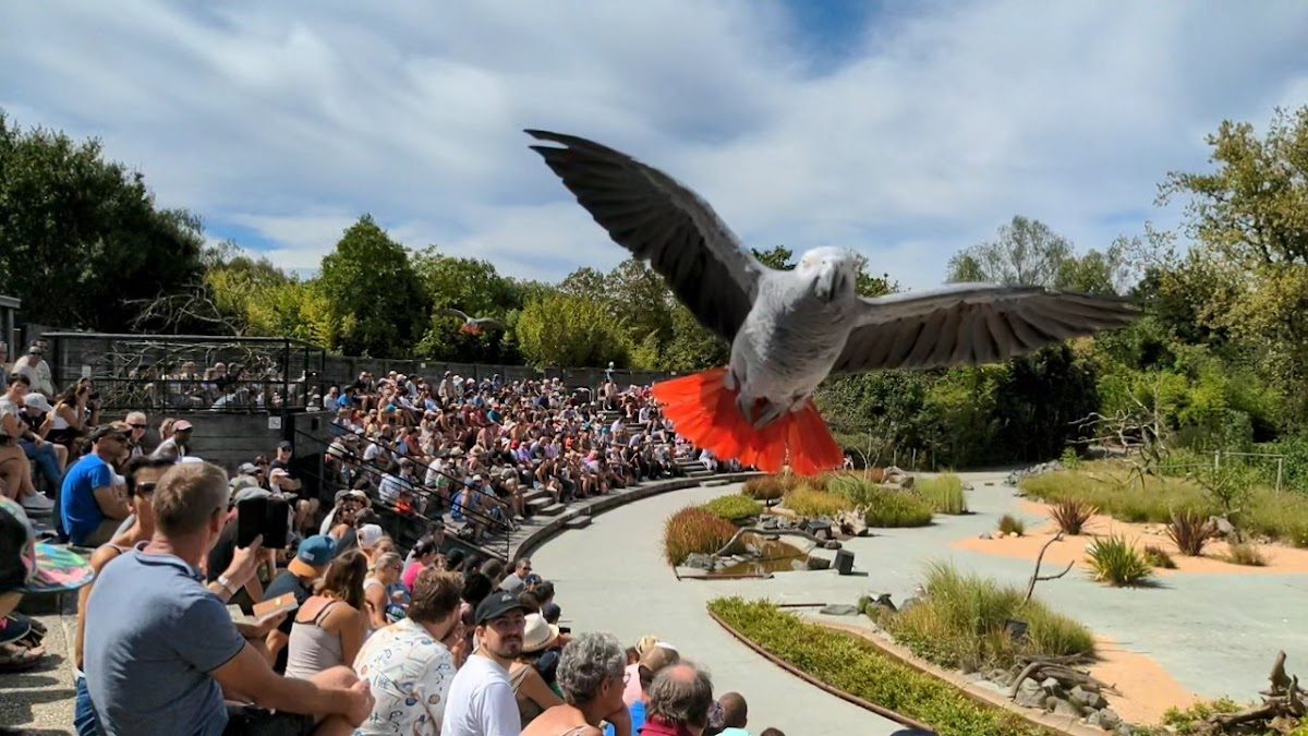 Parc des Oiseaux