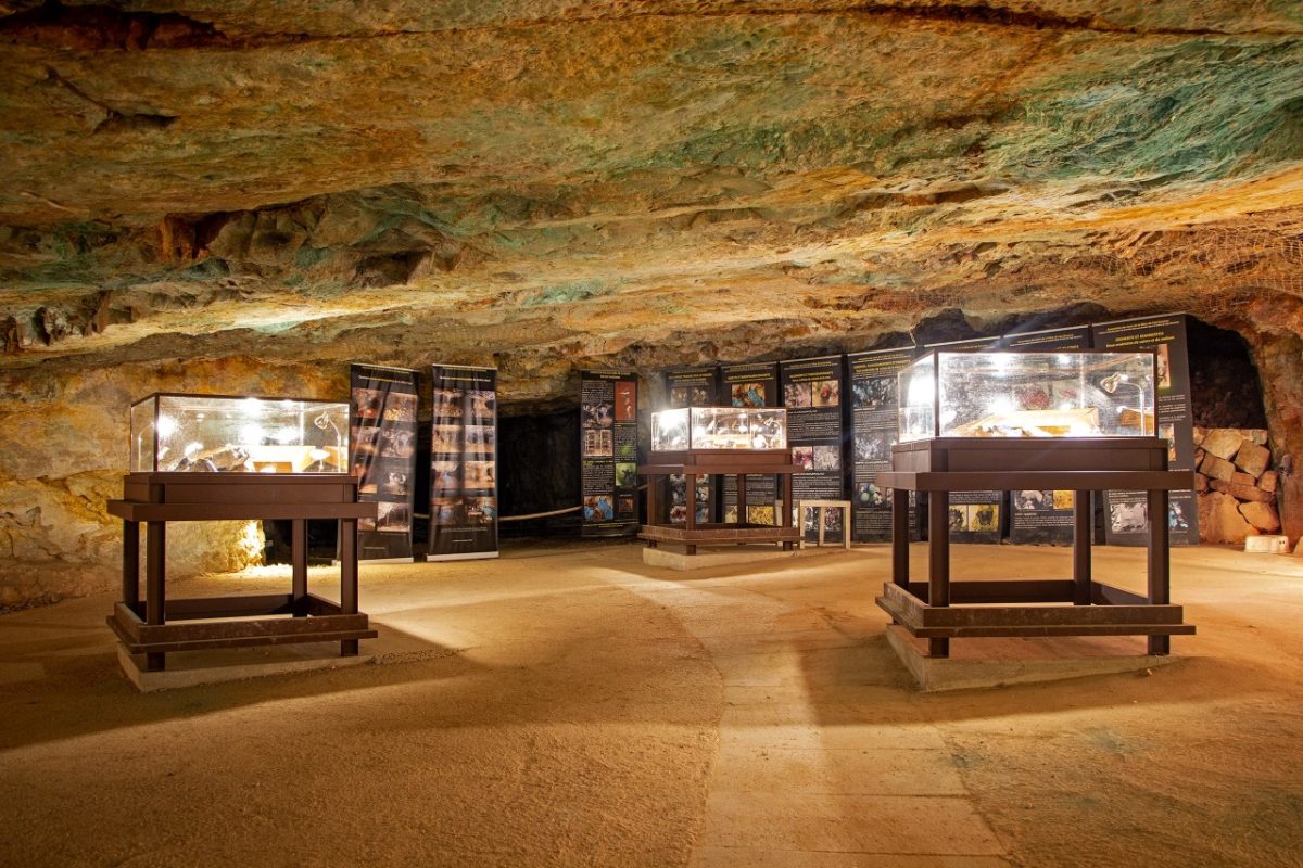 Musée de la Mine de Cap Garonne — Musées Historiques — Le Pradet