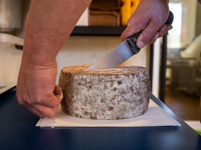Mas Alengrin - chèvres, traite et fromages sur les causses - Rencontre & dégustation chez le producteur - Bédarieux