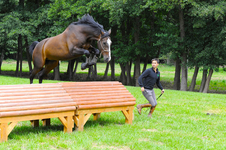 Haras de la Cense — Anniversaire enfant — Rochefort-en-Yvelines