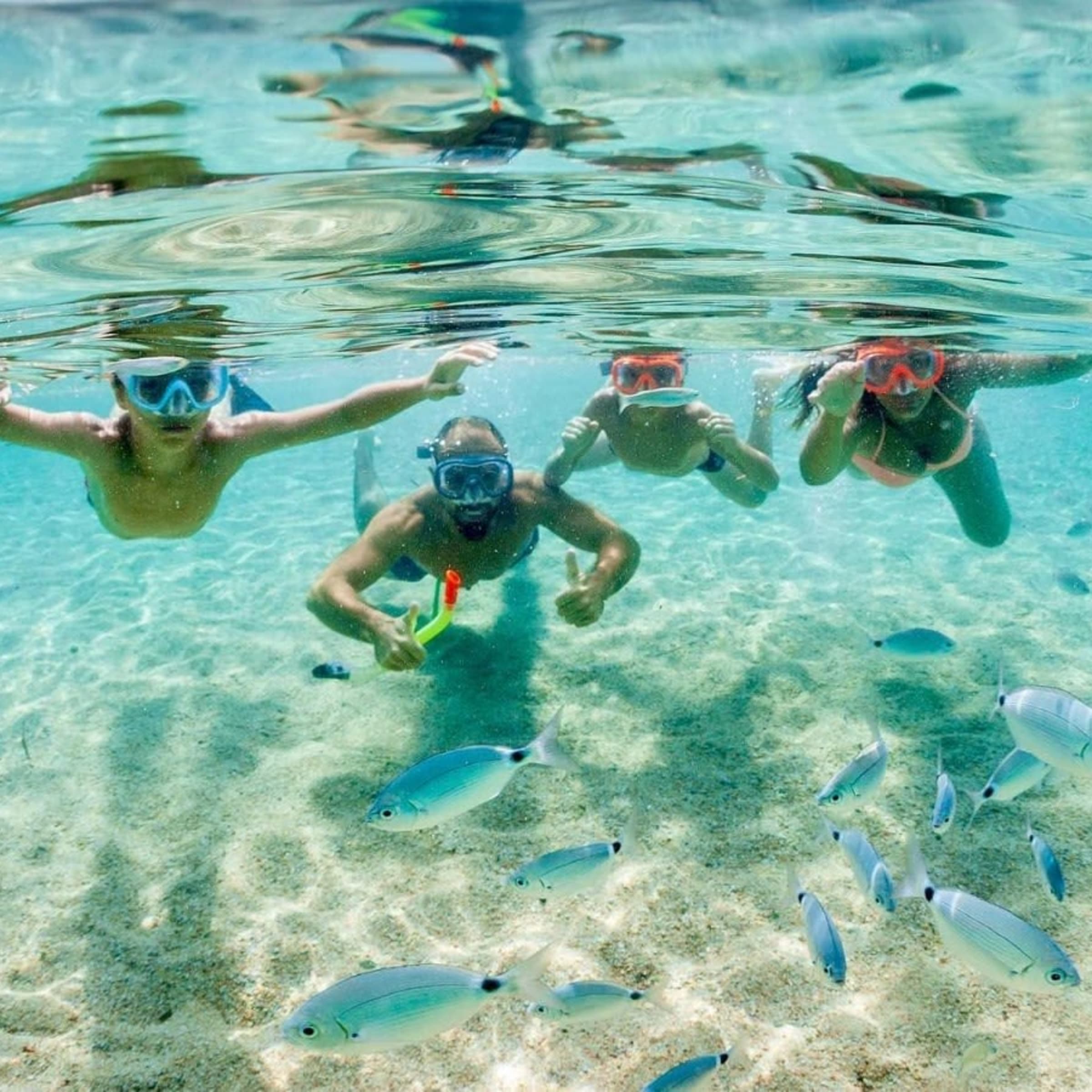 Balade en bateau à Bonifacio et snorkeling