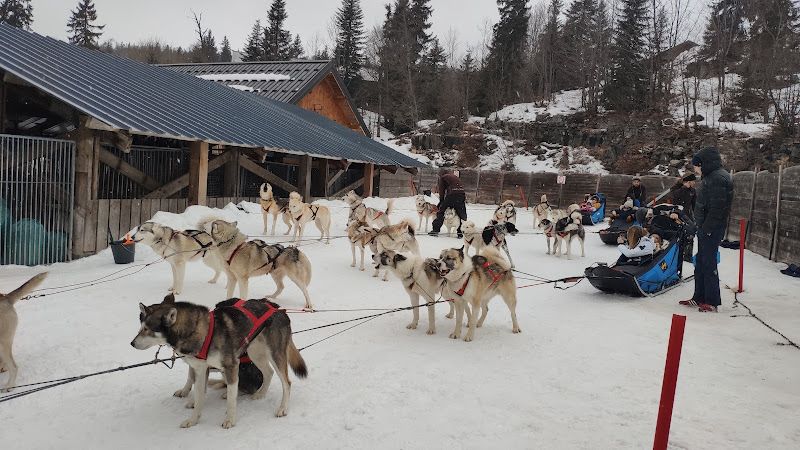 La Ferme des Chiens de Traineaux — Aillon-le-Jeune