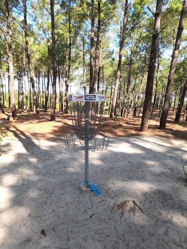 Disc Golf Mimizan - 12 trous sous les pins - Mimizan