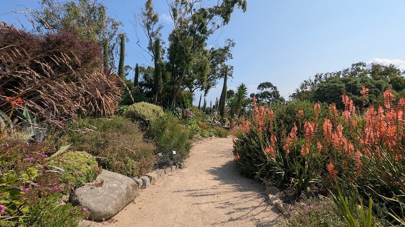 Jardin exotique de Roscoff – plus de 3 000 plantes subtropicales et vue sur la baie — Roscoff