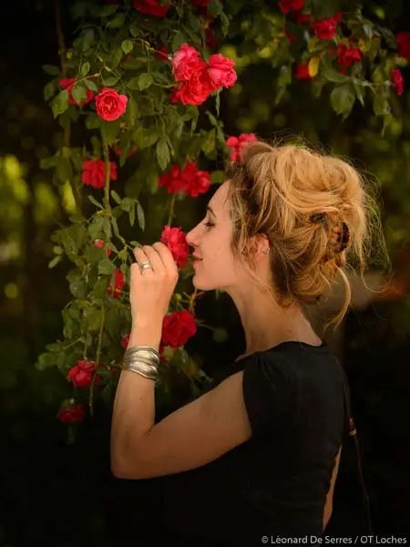 Festival des Roses de Chédigny - rosiéristes et jardins dans le village aux mille roses - Festivals - Chédigny