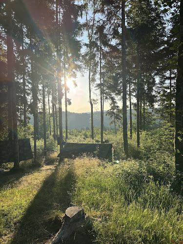Vosges Aventure Survie — Stage de survie — Le Syndicat