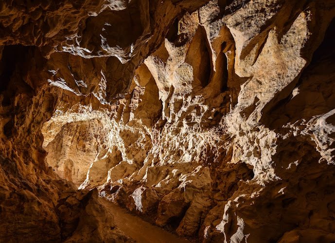 Grotte de Thaïs - Homo sapiens, os coché et rivière sous Saint-Nazaire-en-Royans — Visite de grottes & gouffres — Saint-Nazaire-en-Royans