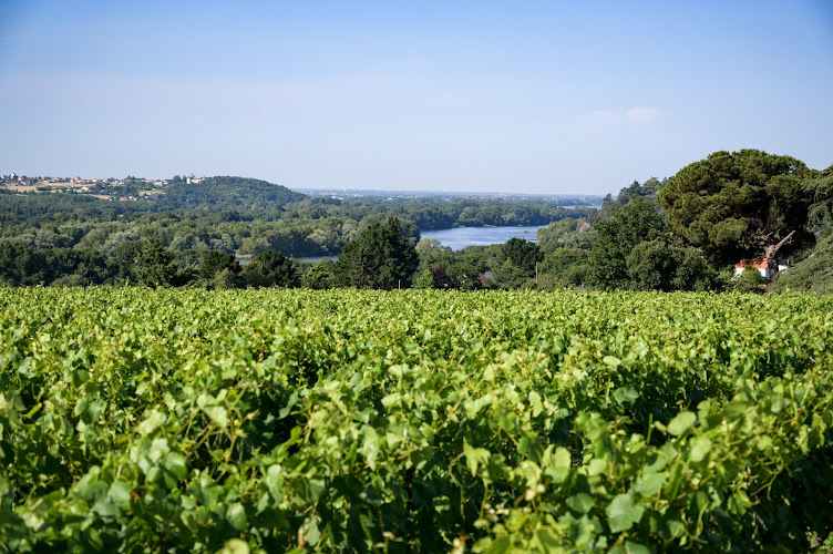 Domaine Landron Chartier