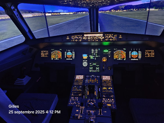 AviaSim Montpellier - Simulateur de vol — Montpellier
