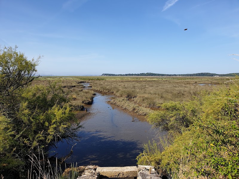 Réserve naturelle nationale des prés salés d'Arès et de Lège-Cap-Ferret