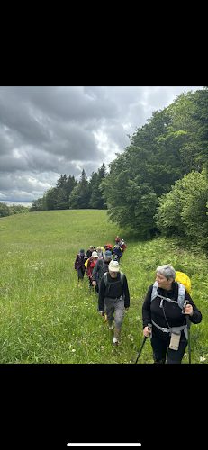 Dam’Nature - Damien Goetz - Accompagnateur Guide Randonnée Montagne Vosges raquettes neige famille/trek - Rochesson