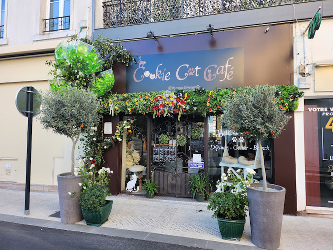Cookie Cat Café