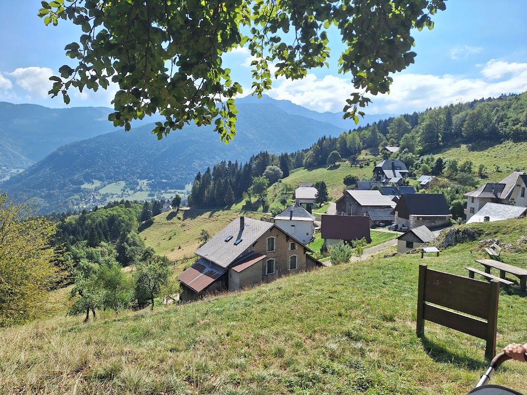 Forêt de la Grande Chartreuse — Balade en forêt & Cascades — Entremont-le-Vieux