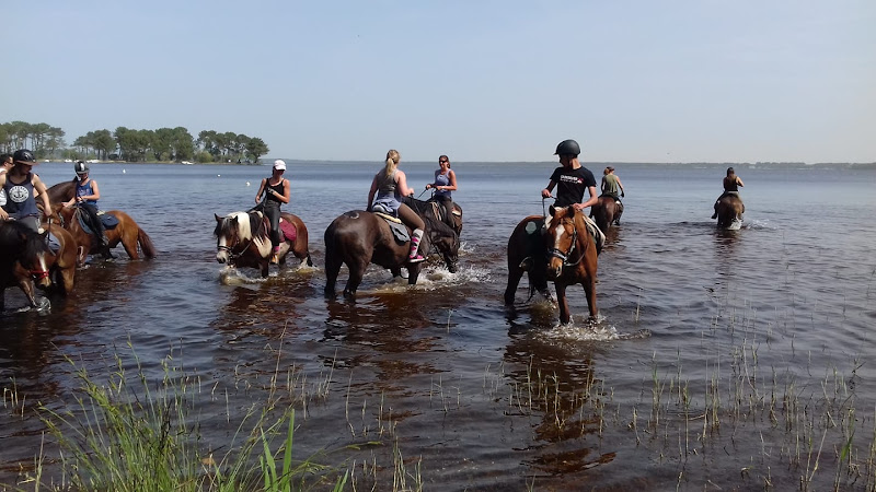 Les Sabots du Temple — Balade à cheval — Le Temple