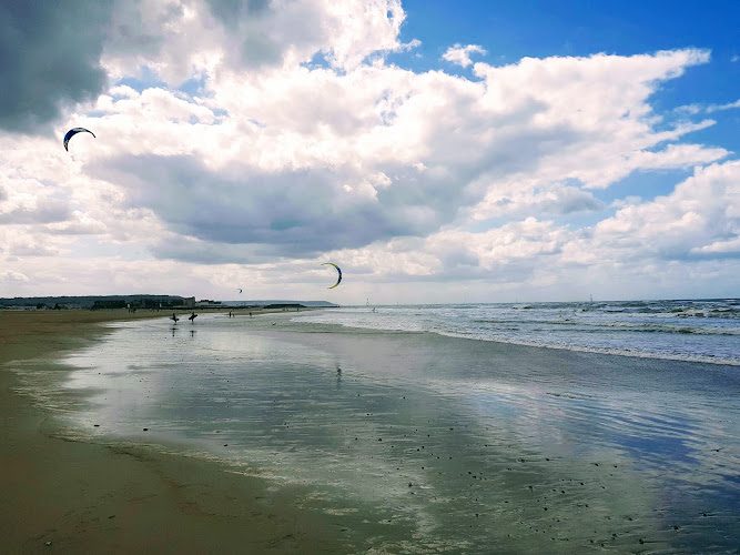 CNTH – Cerf-volant et aile de traction sur la plage de Trouville-sur-Mer — Cerf-volant sportif & aile de traction — Trouville-sur-Mer