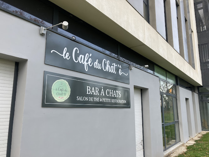 Bar à chats - Le café du Chat'Ô - Plescop