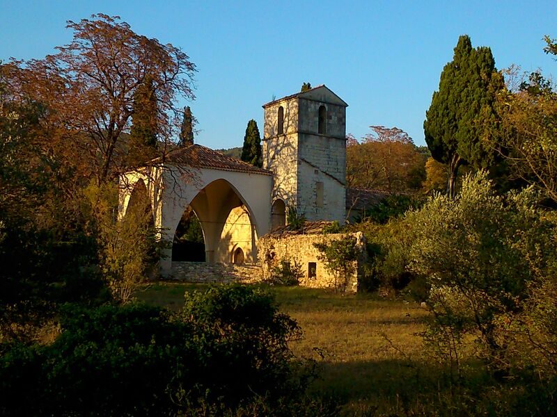 Notre-Dame-de-l'Ormeau - visite guidée du retable de Jessé - Randonnée Urbaine avec Guide Historique - Seillans