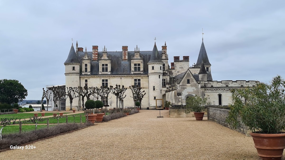 Château royal d'Amboise — Patrimoine — Amboise