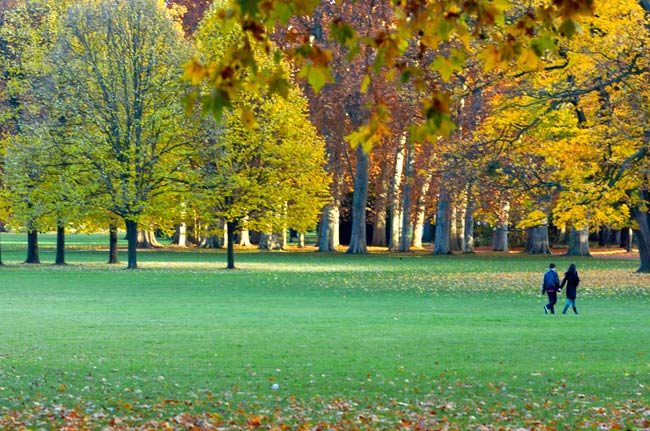 Parc de la Tête d'Or - 105 hectares gratuits au cœur de Lyon - Parcs incontournables - Lyon