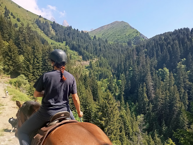 Les Crins Sauvages Centre Equestre — Balade à cheval — Saint-Sorlin-d'Arves