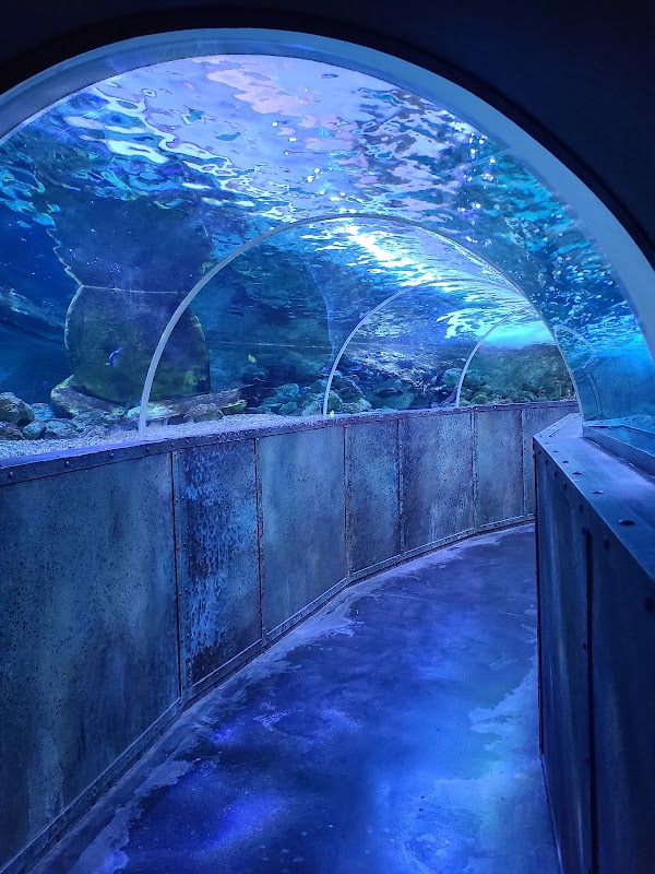 Aquarium de Touraine — Visiter un Aquarium — Lussault-sur-Loire
