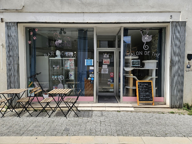 Le Chat’Ren’Thé - CatCoffee & Restaurant