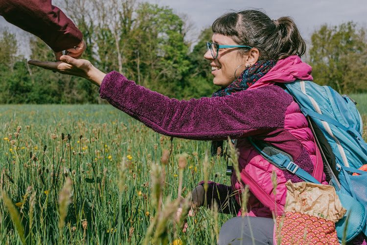 Herbulathêkê - balades botaniques et cuisine sauvage en Auvergne — Cueillette sauvage & balades botaniques — Mareugheol