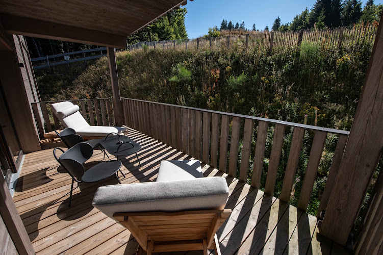 Chalet Hôtel Le Collet & Spa - Table de Montagne