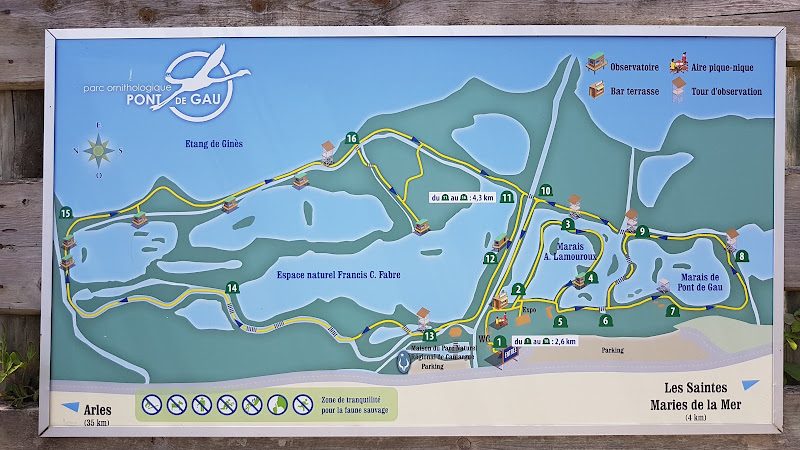 Parc Ornithologique du Pont de Gau - Observation de la faune et des oiseaux - Saintes-Maries-de-la-Mer