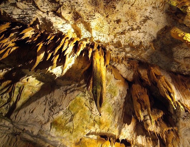 Gouffre de la Fage - concrétions et refuge de milliers de chauves-souris en Corrèze — Visite de grottes & gouffres — Noailles