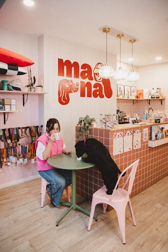 MANÁ Concept Store Cafe Dog Wash