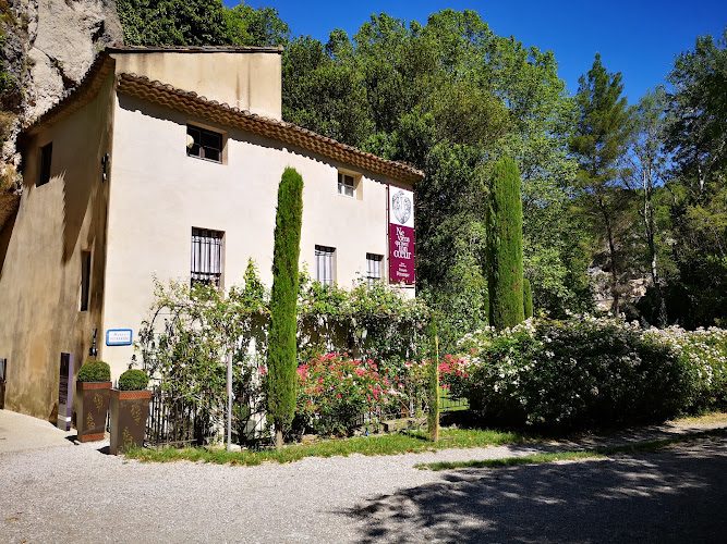 Musée-Bibliothèque François Pétrarque