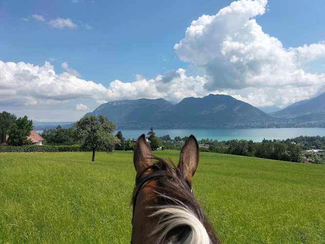 LA CAVALE SEVRIER — Balade à cheval — Sevrier