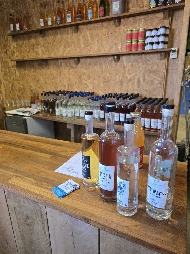 Cidrerie du Léguer - visite et dégustation de cidre bio à Lannion — Visite de cidrerie & dégustation de cidre — Lannion