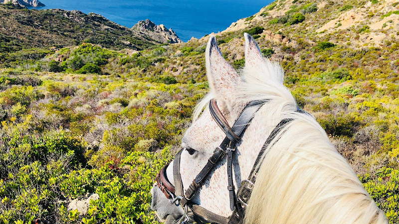 L'Albadu — Balade à cheval — Corte