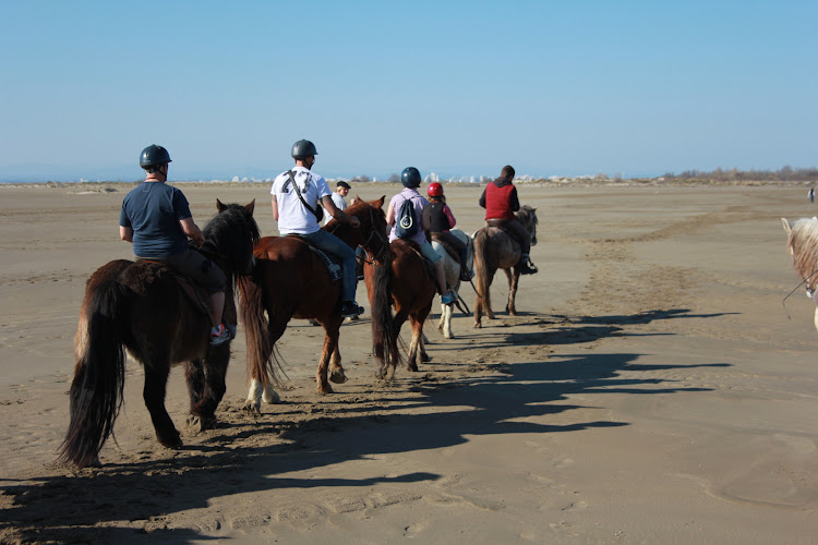 MAS DE L'ESPIGUETTE — Balade à cheval — Le Grau-du-Roi