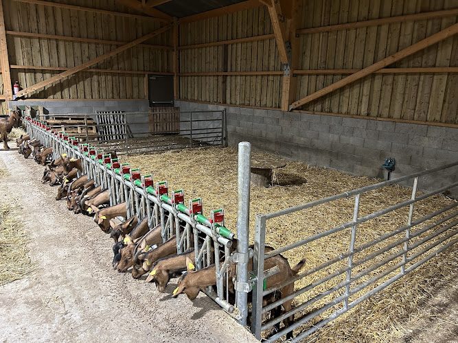Chèvrerie de l'Ailly — Rencontre & dégustation chez le producteur — Sainte-Marguerite-sur-Mer
