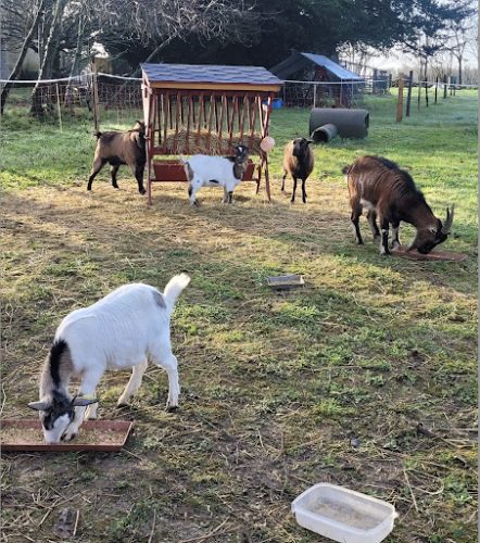 La ferme pédagogique et thérapeutique Au Coeur de chez Vous - Sud Vendée — Ferme éducative — Saint-Juire-Champgillon