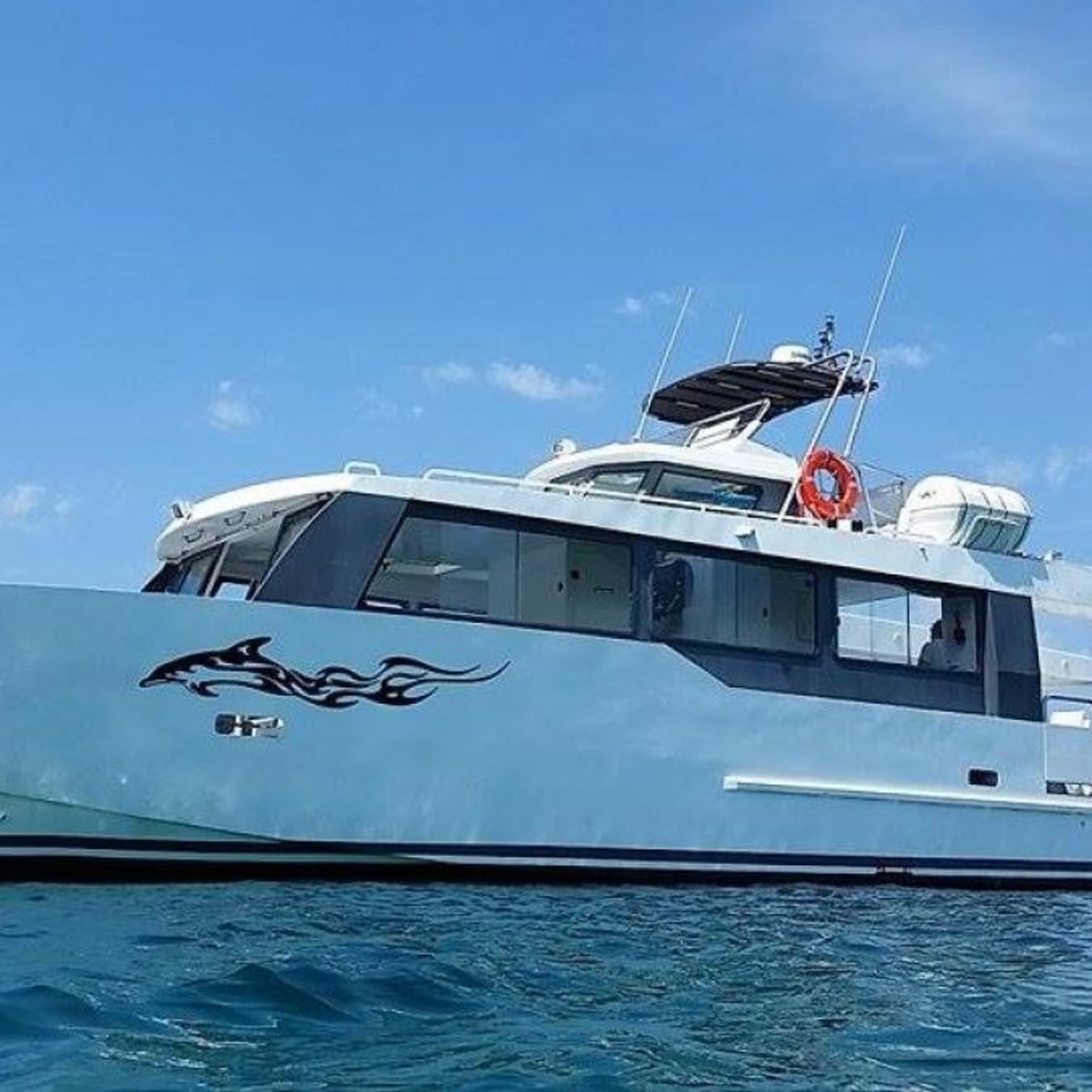 Croisière à la rencontre des dauphins et cétacés à Monaco