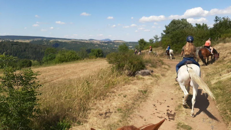 Galopins du Sancy - Domaine équestre de Berthaire — Balade à cheval — Besse-et-Saint-Anastaise